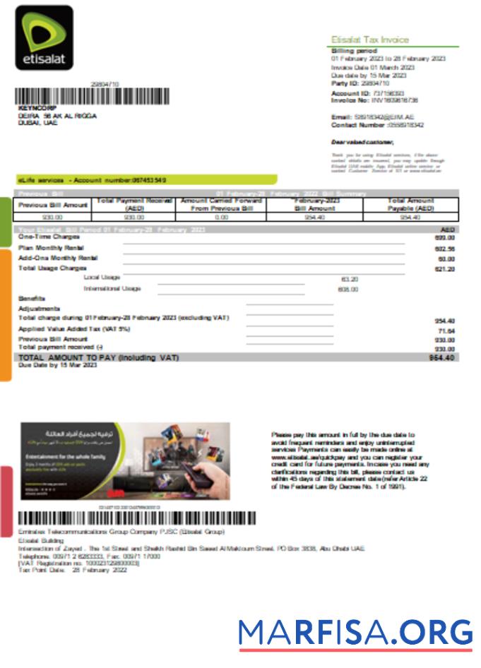 Downloadable Etisalat utility business bill, SCR real example